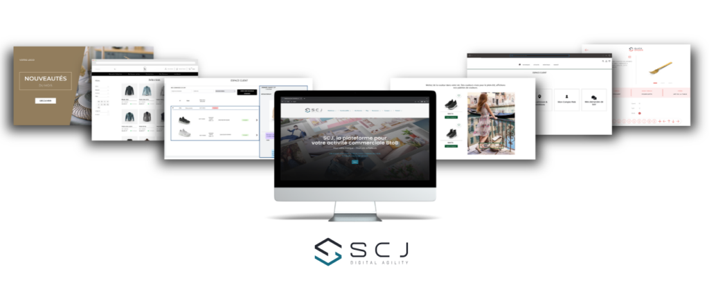 Gestion tarifaire complexe en B2B : comment une plateforme web peut simplifier vos process ? 1 Gestion tarifaire complexe en B2B : une plateforme unifiée pour simplifier la gestion tarifaire
